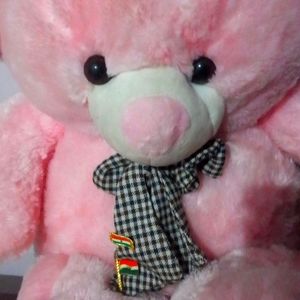 Teddy